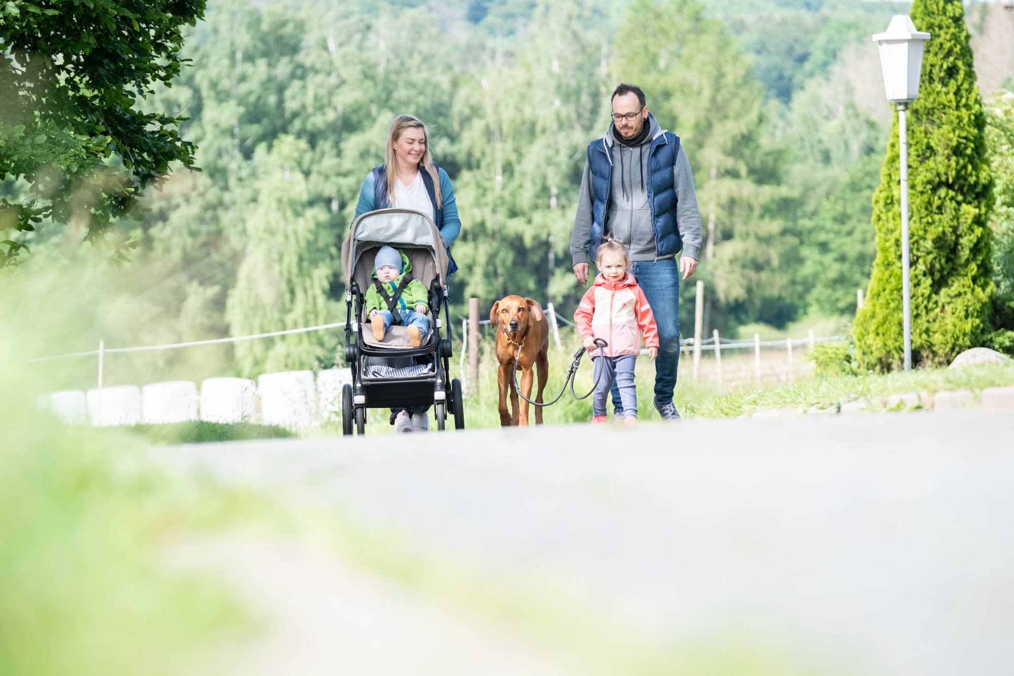 Familien-Special: 3 Übernachtungen für 2 Erwachsene + 2 Kinder im Hotel Der Wolfshof im Harz