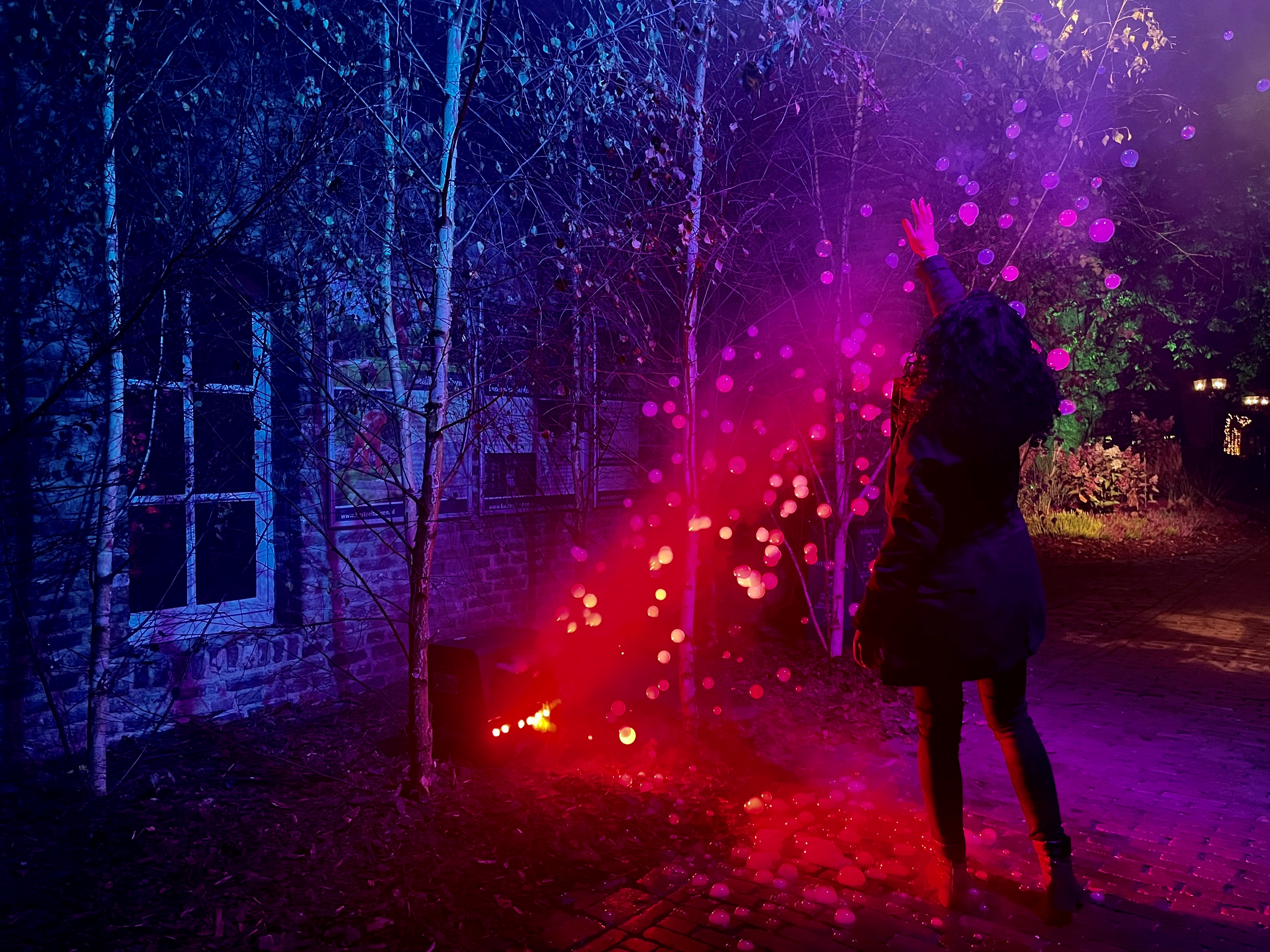 Kombi-Paket Schlossgärten Arcen + Enchanted Gardens für zwei Pers. im Wert von 68 €