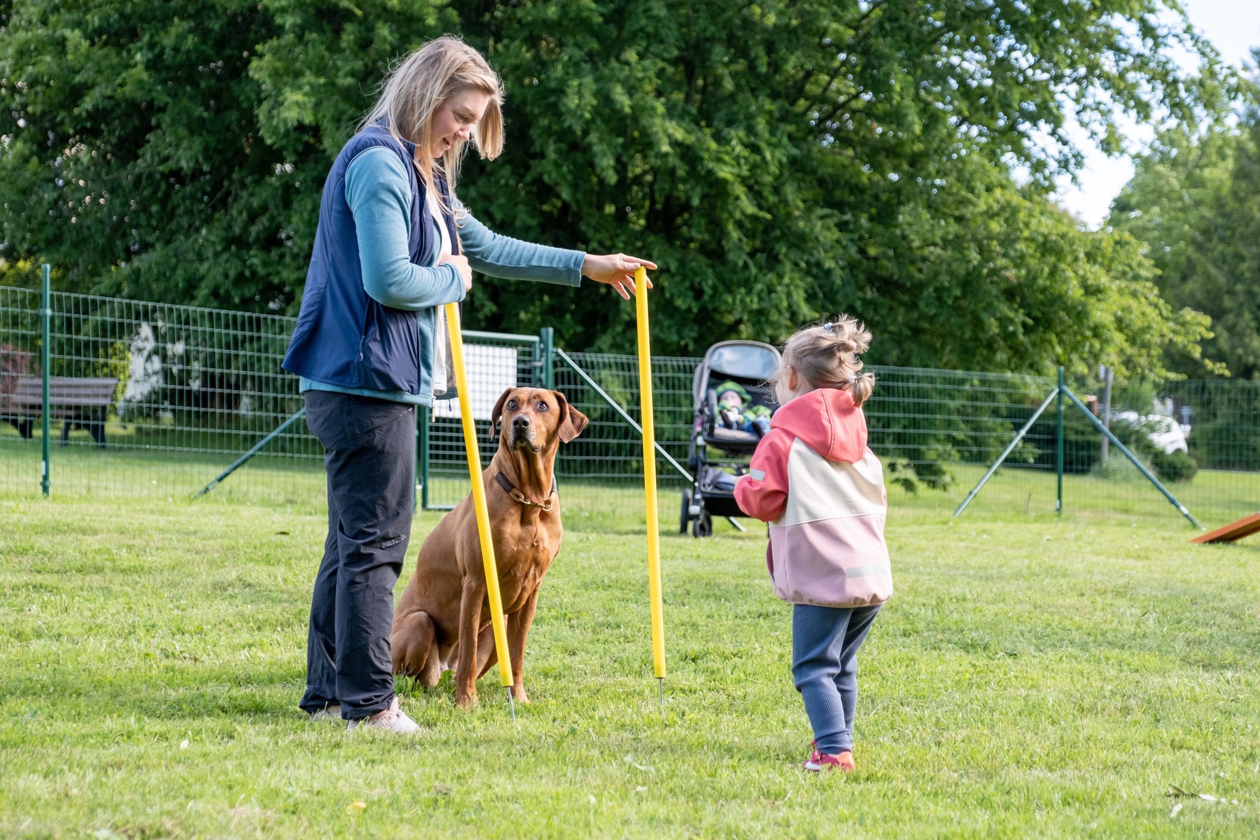 Familien-Special: 3 Übernachtungen für 2 Erwachsene + 2 Kinder im Hotel Der Wolfshof im Harz