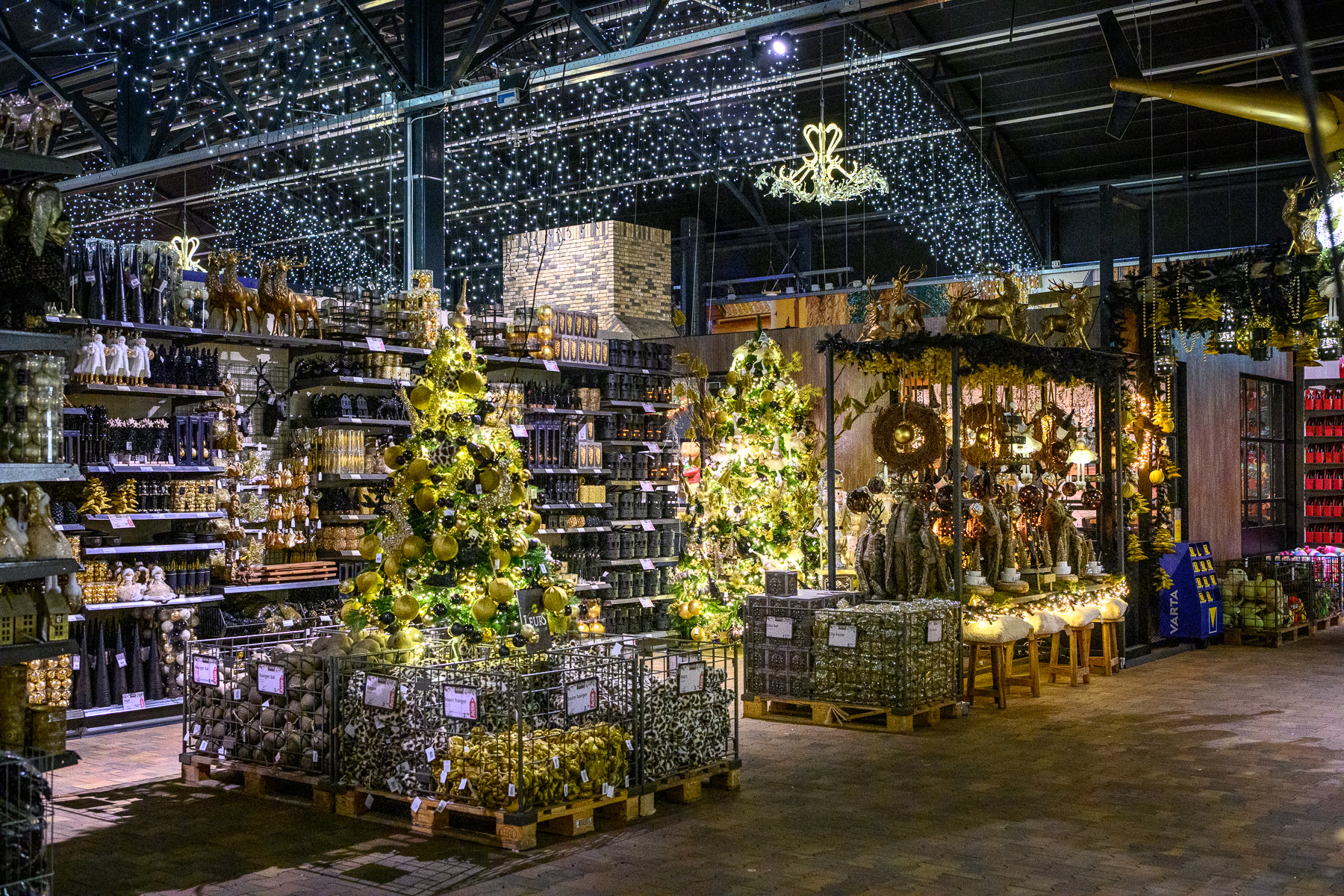 100 Euro Gutschein vom Gartencenter Leurs in Venlo