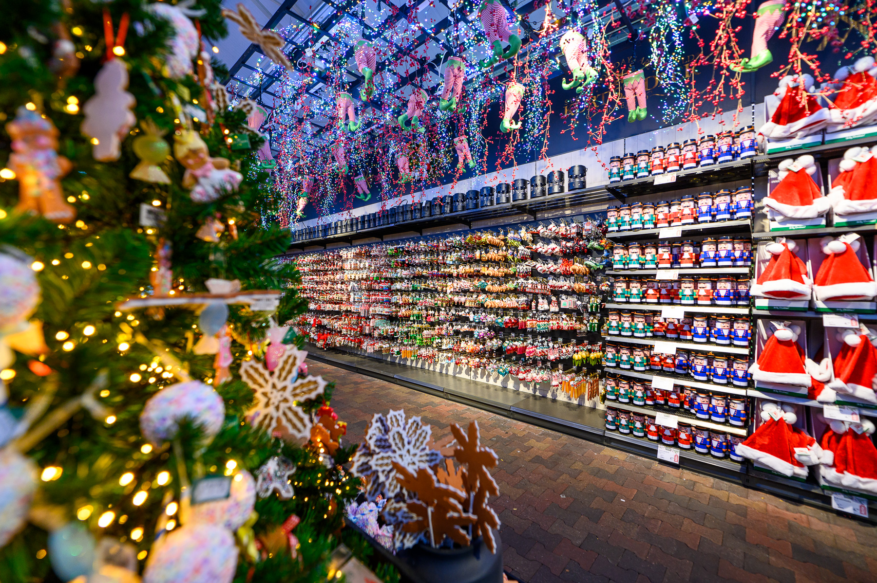 100 Euro Gutschein vom Gartencenter Leurs in Venlo