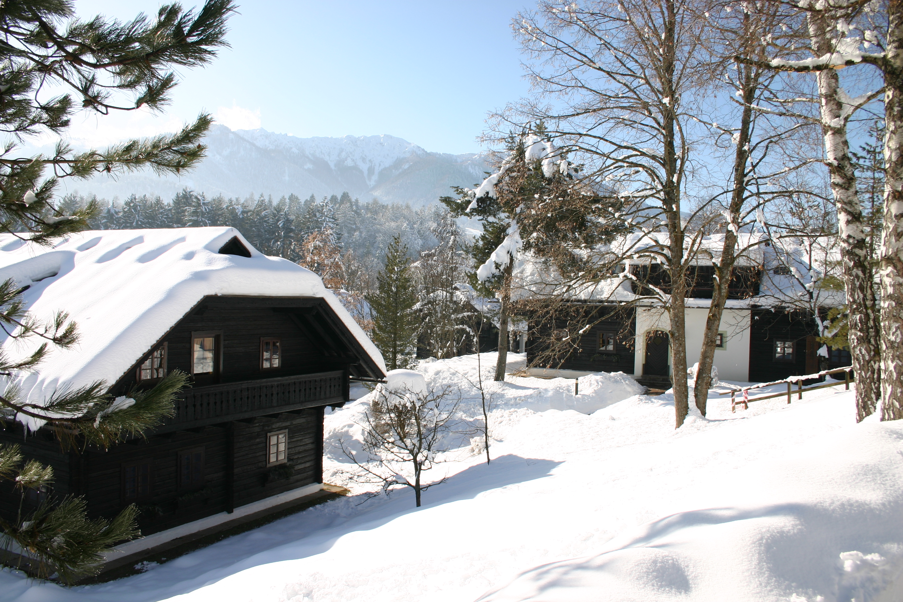 NAMASTÉ & GEH - Das Naturel Yoga-Wander-Retreat im Hoteldorf SCHÖNLEITN in Kärnten (AT) 4 Nächte für 2 Pers.