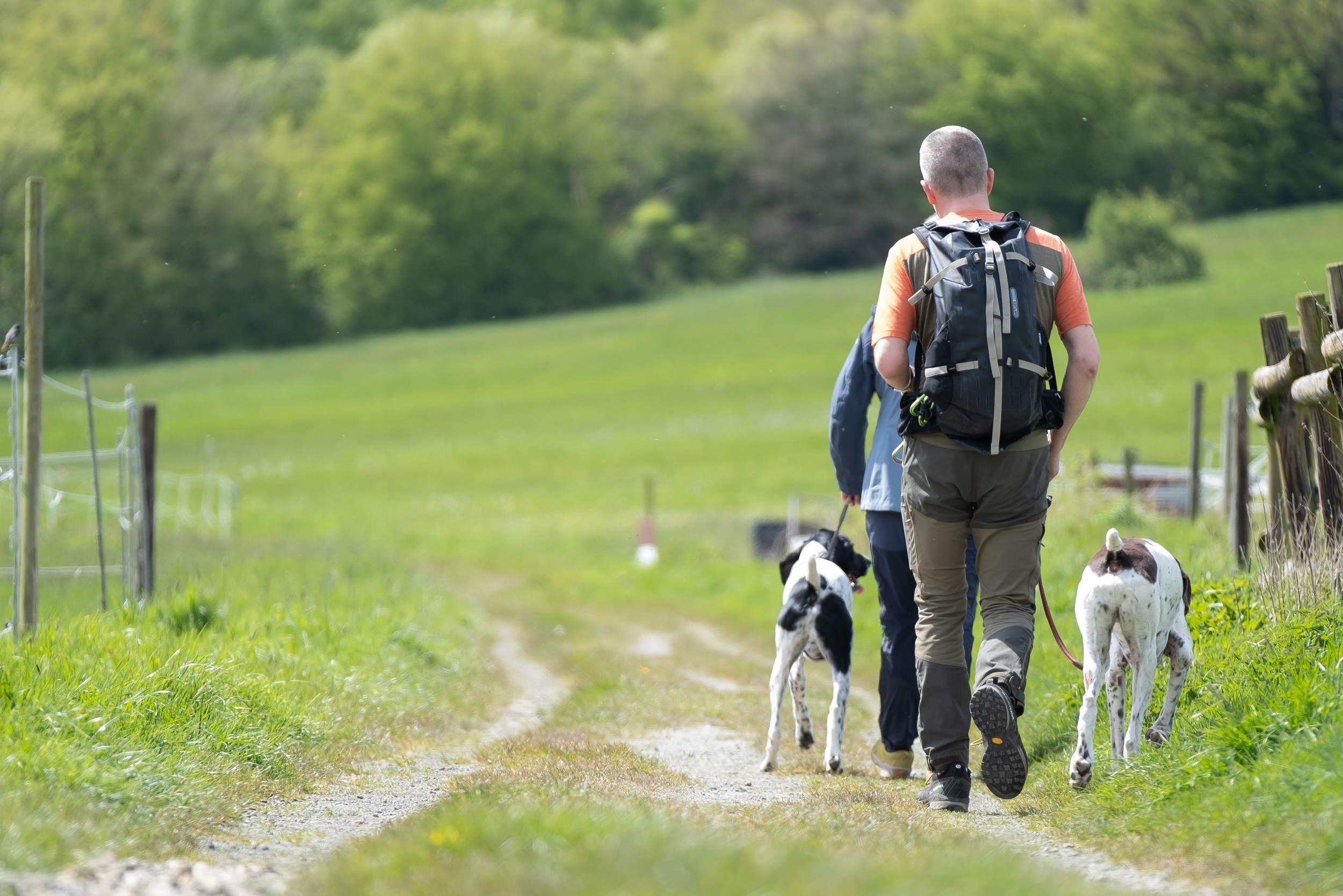 Fellnasen-Special: 3 Übernachten mit Hund im Hotel Der Wolfshof im Harz