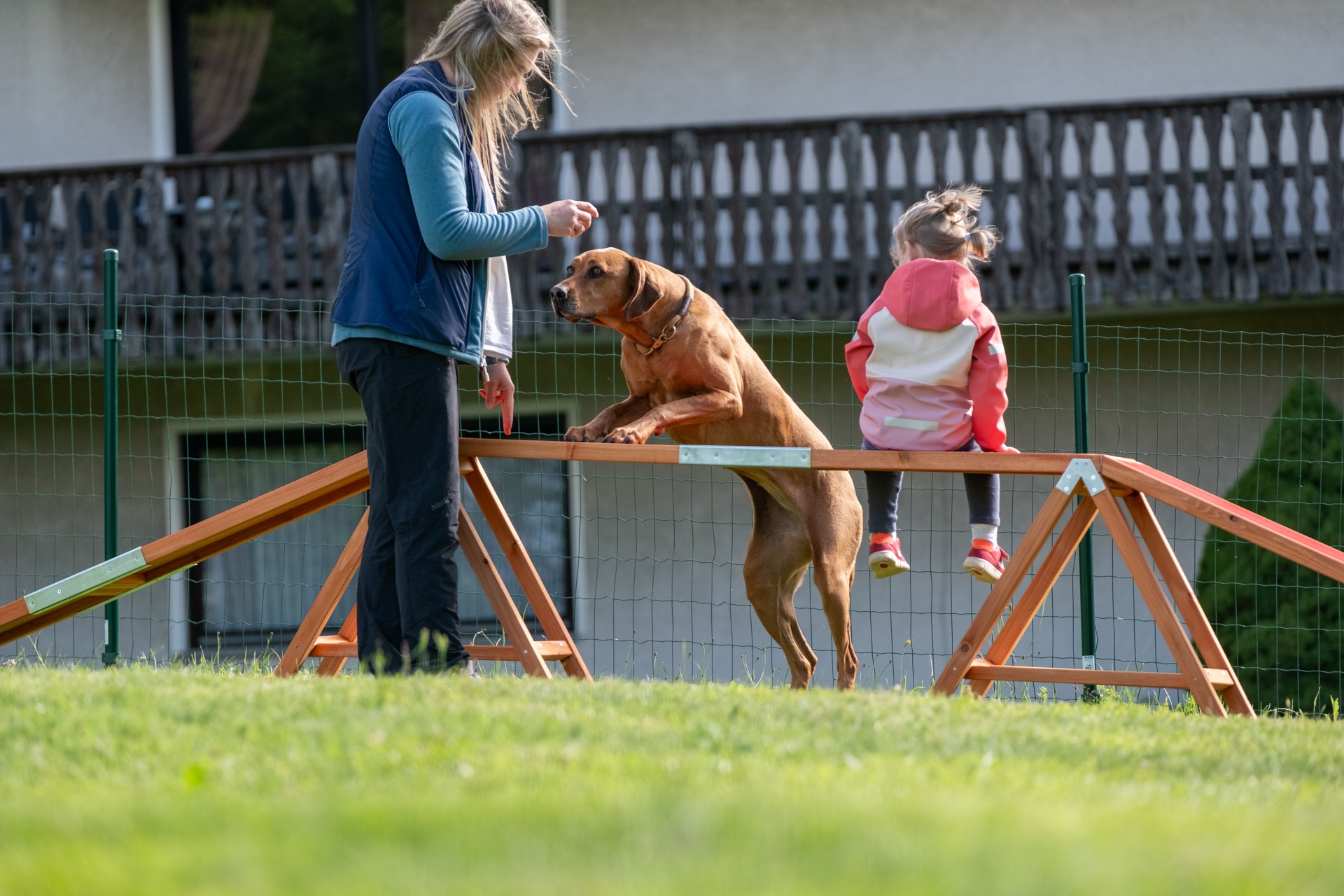 Fellnasen-Special: 3 Übernachten mit Hund im Hotel Der Wolfshof im Harz