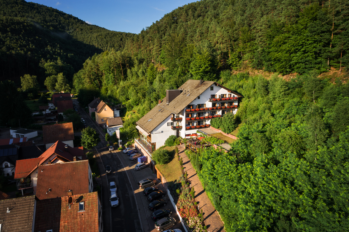 MANDELBLÜTE IN DER PFALZ für 2 Personen im Hotel Die kleine Blume