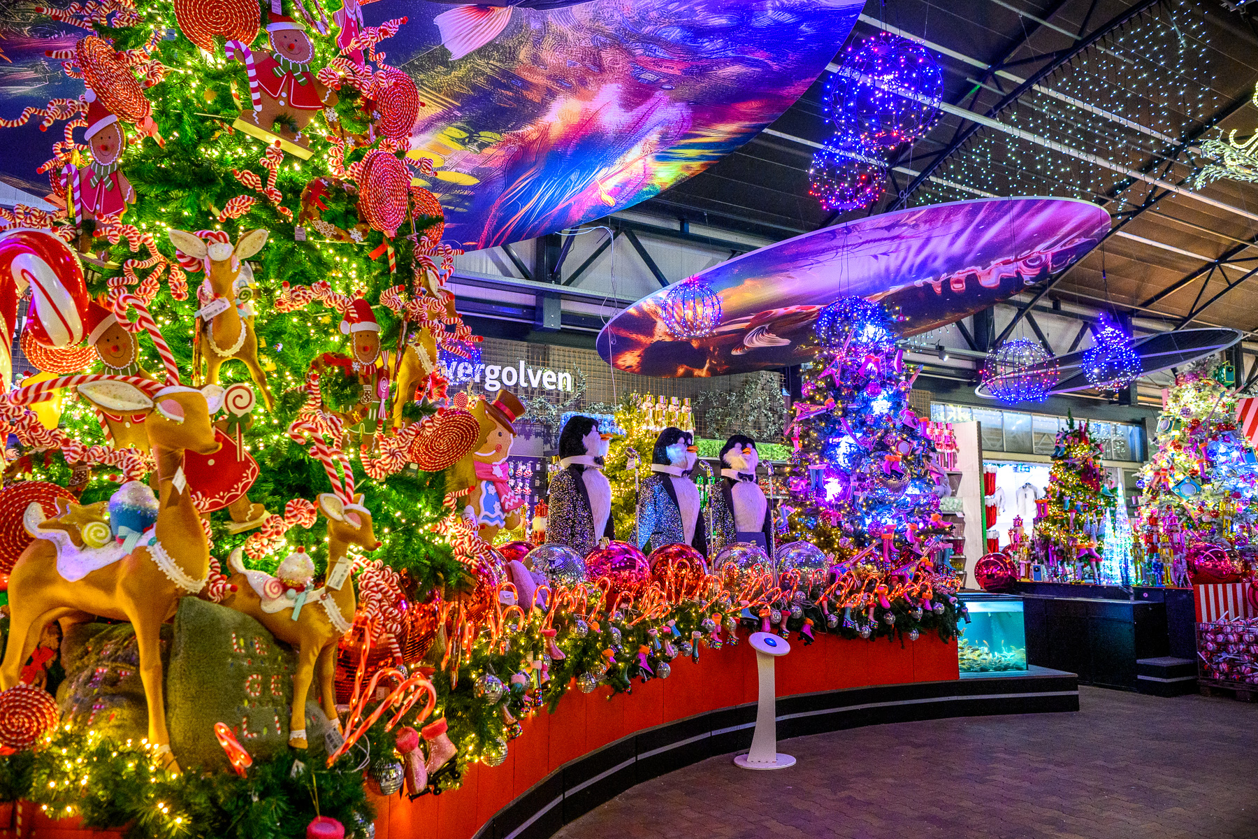 100 Euro Gutschein vom Gartencenter Leurs in Venlo