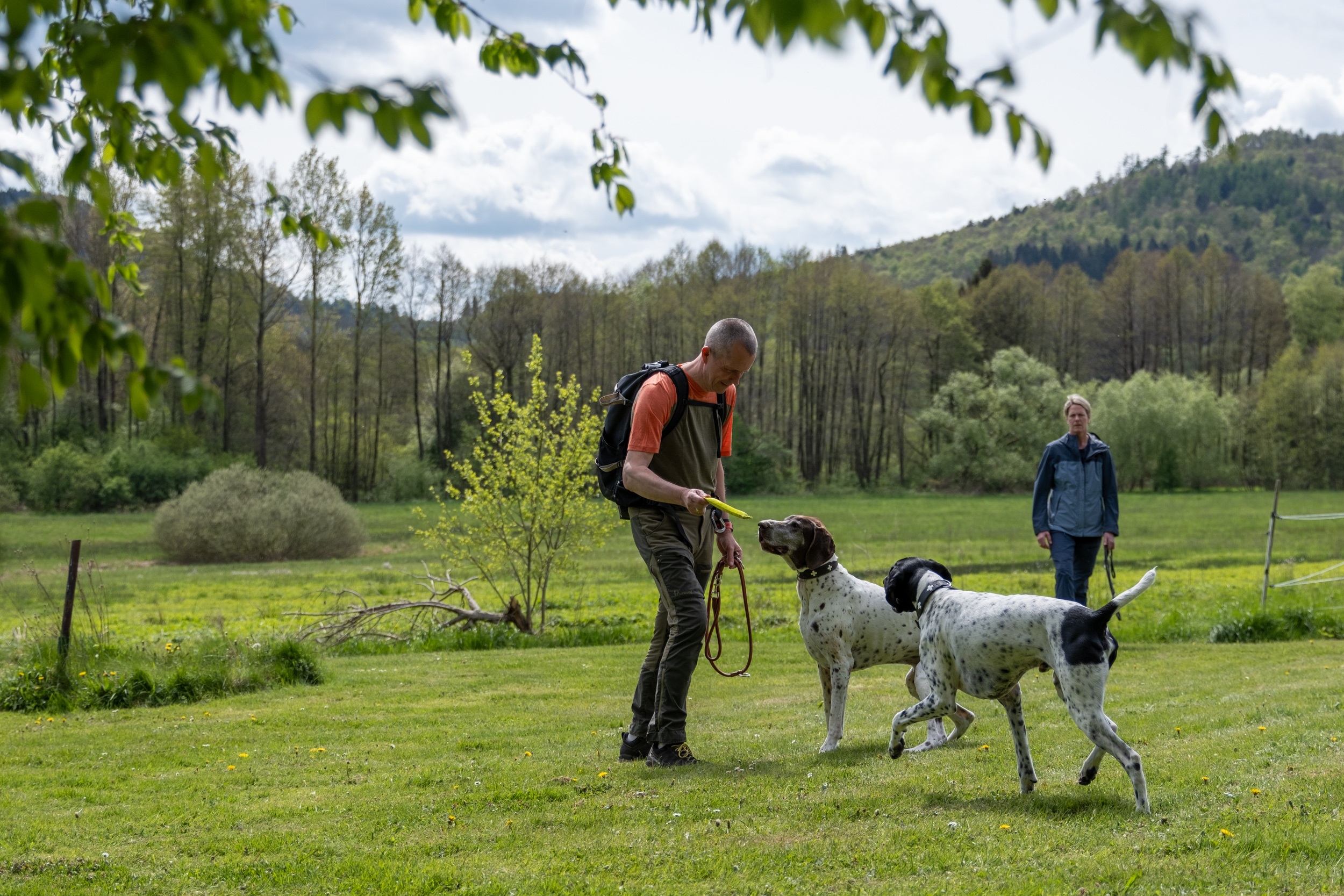 Fellnasen-Special: 3 Übernachten mit Hund im Hotel Der Wolfshof im Harz