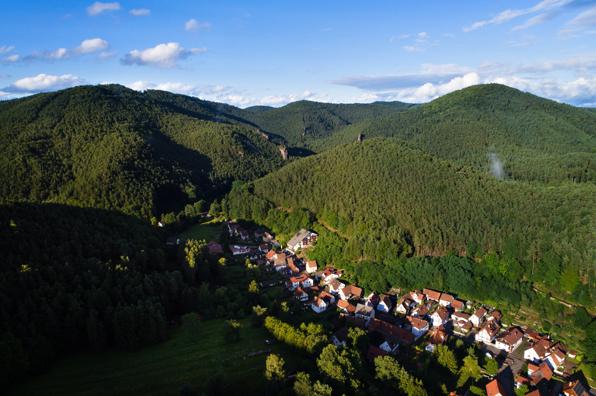 MANDELBLÜTE IN DER PFALZ für 2 Personen im Hotel Die kleine Blume