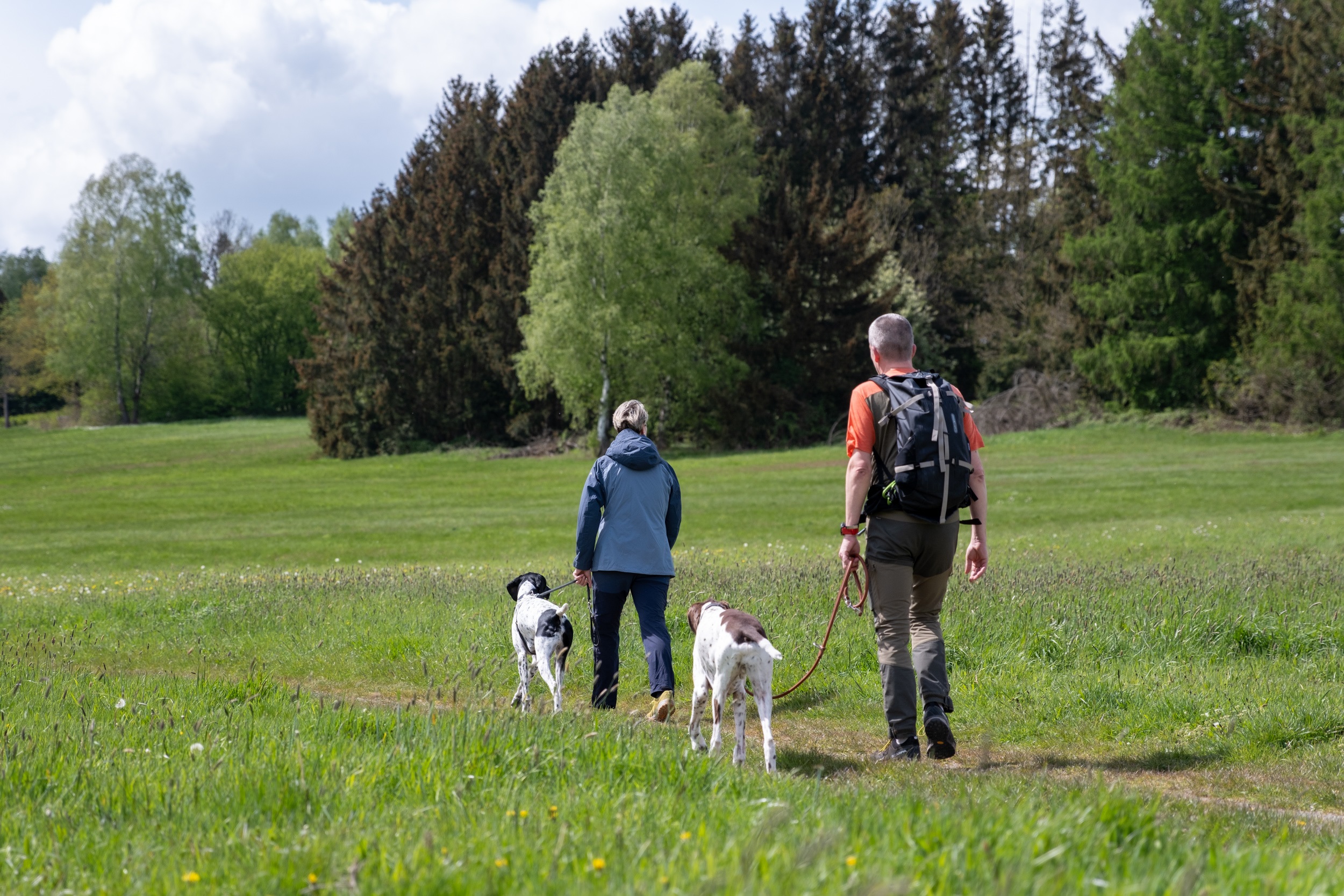 Fellnasen-Special: 3 Übernachten mit Hund im Hotel Der Wolfshof im Harz