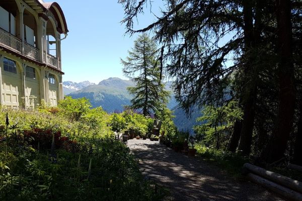 Im Bernina Express von Tessin nach Graubünden - 9-tägige Alpenreise von Zugprofi