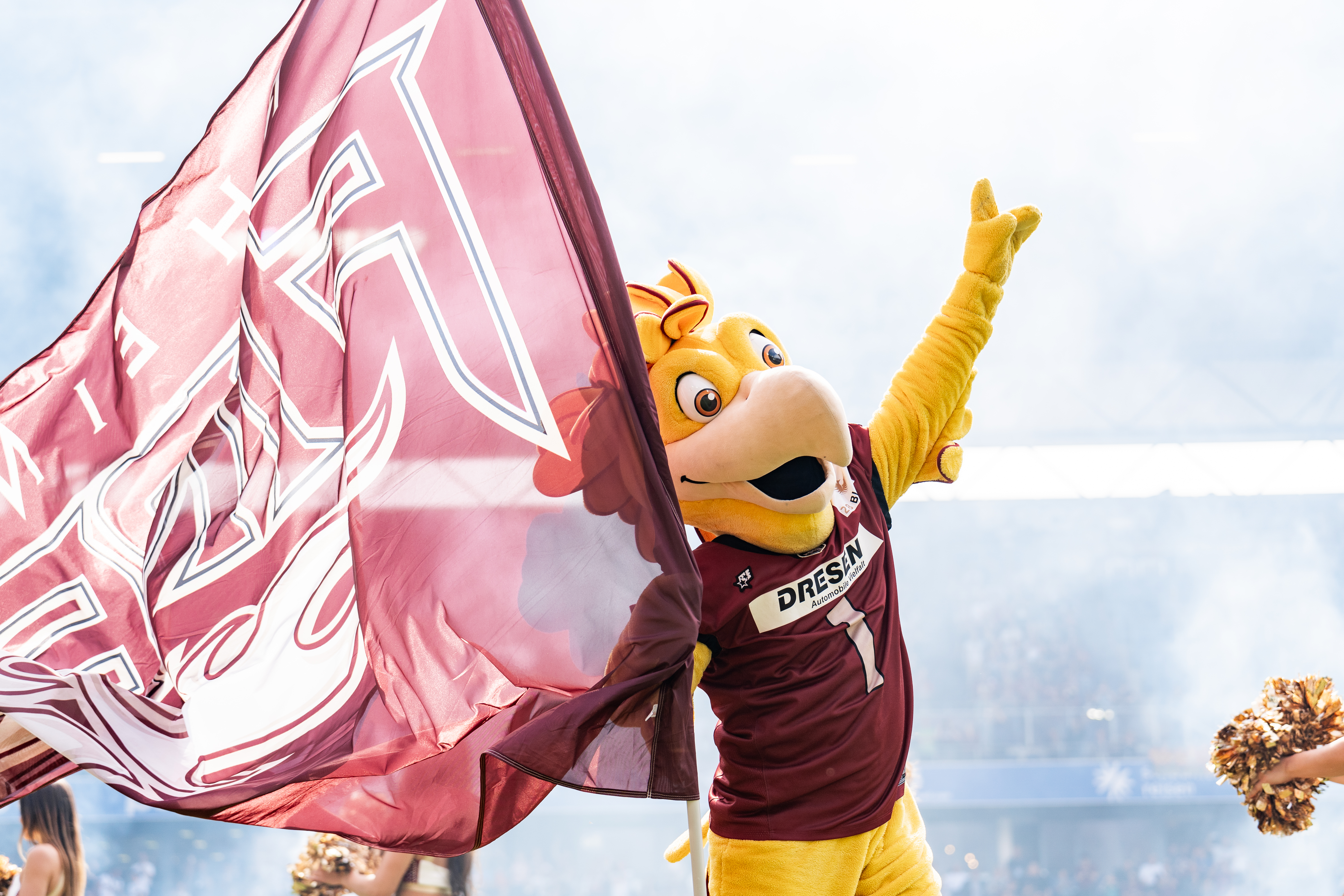 2 Business Tickets für das Spiel Hamburg Sea Devils gegen Rhein Fire am 14.06.2025 in Duisburg