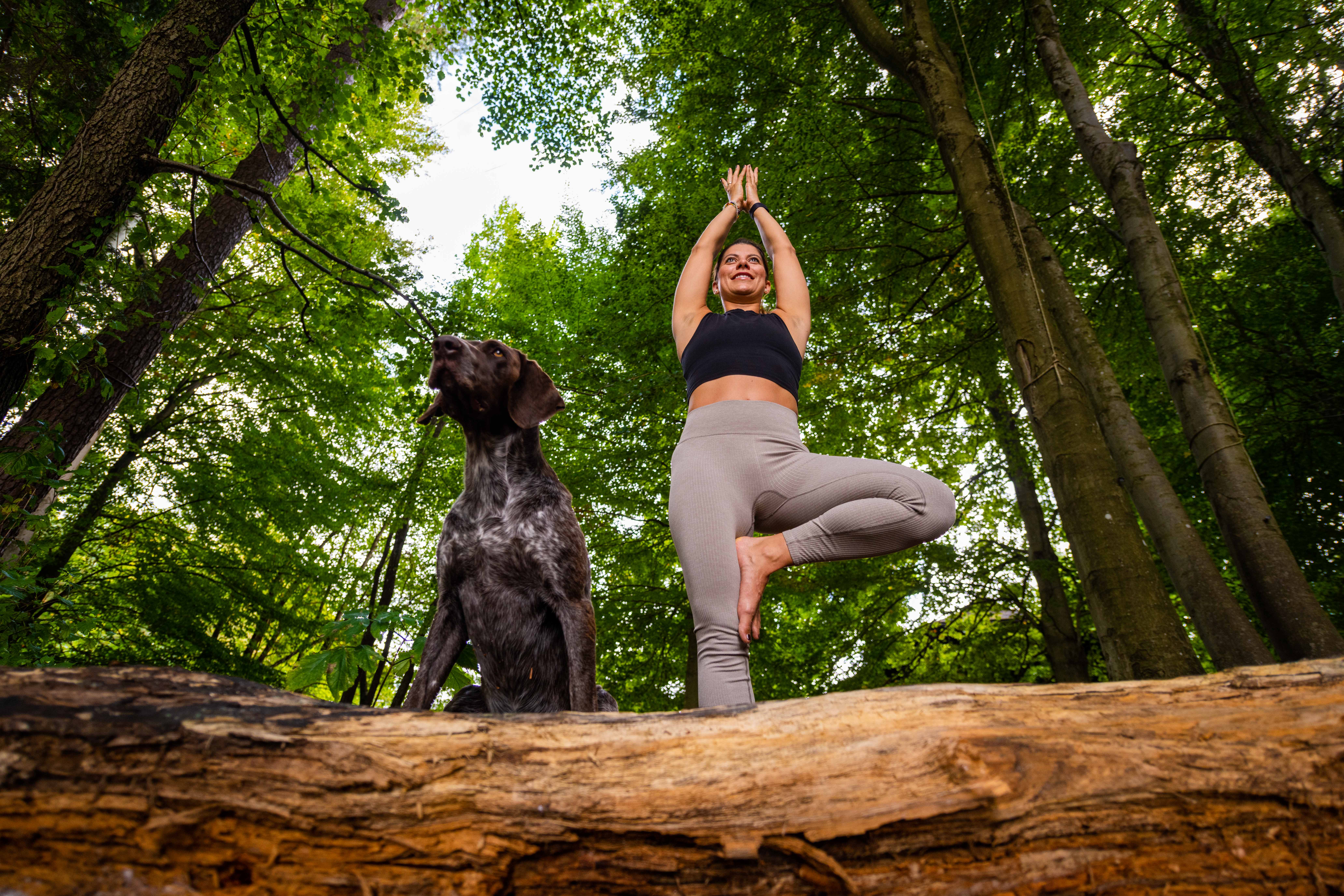 YOGA & YOU – Das Naturel „Zeit für mich“ Yoga-Retreat (5 Nächte für 2 Pers.) mit Ben Rakidzija im Hoteldorf SCHÖNLEITN in Kärnten (AT)