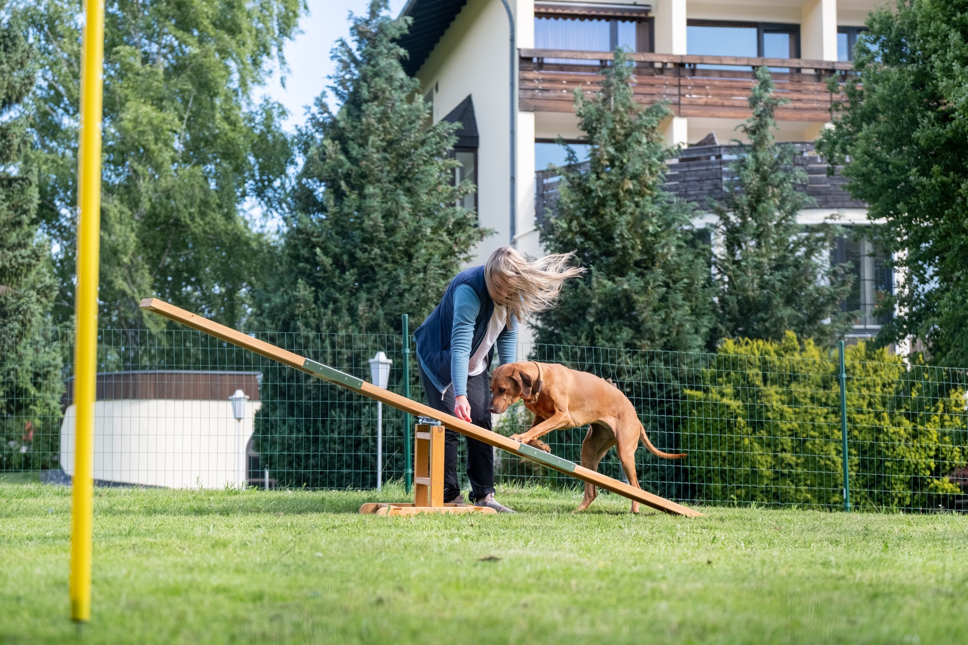 Fellnasen-Special: 3 Übernachten mit Hund im Hotel Der Wolfshof im Harz