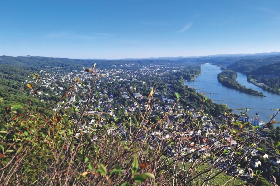Bad Honnef – Der Party-Törn am Drachenfels: Reise für 4 Personen, 2 DZ, 27.06. - 29.06.2025 mit Müller-Touristik